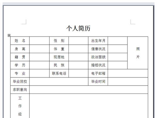 工作个人简历表