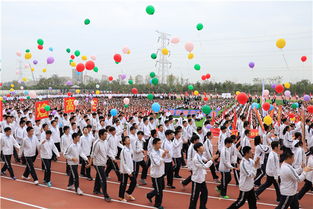 运动会小学开幕式入场表演