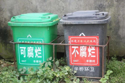 垃圾分类桶的图片