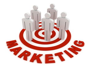 市场营销计划产品或服务