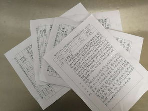 学校食品安全培训记录内容