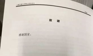 大学生毕业论文结尾致谢