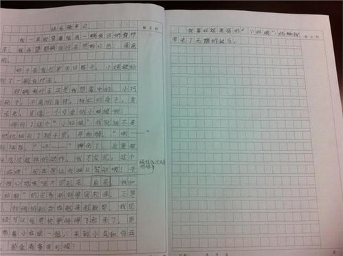 三年级小学生300字作文