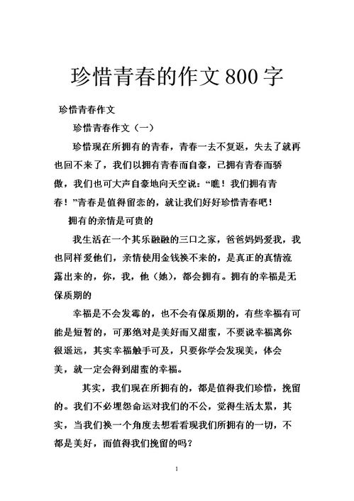 关于青春作文800字高中