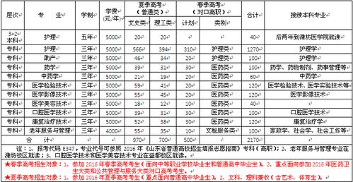 大专护理在校的三年规划