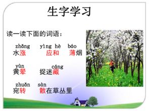 初中语文《春》教案