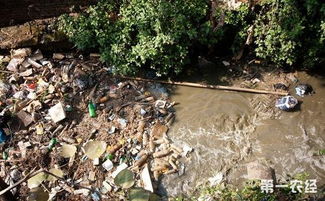 农村生活污水治理存在的问题