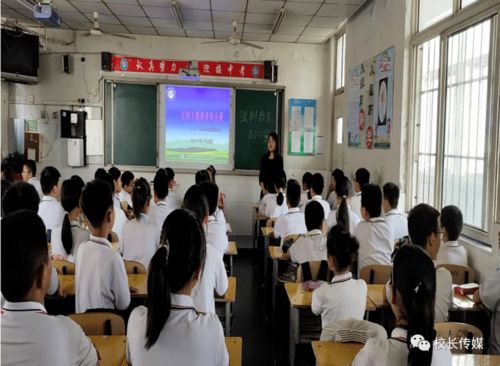 小学生知法懂法顺口溜