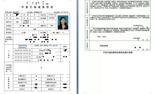 就业推荐表个人经历咋写