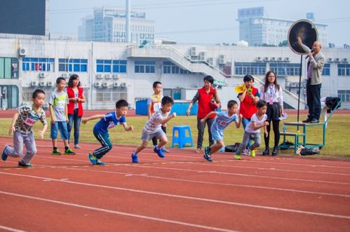 小学二年级运动会作文