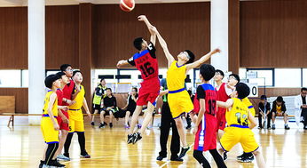 小学生篮球比赛