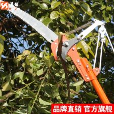 高空修剪树枝的工具