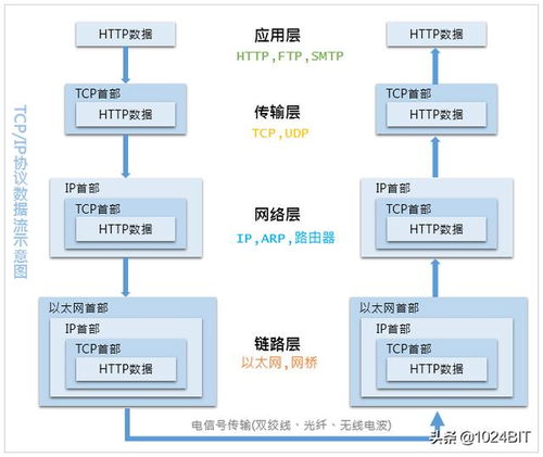 arp协议属于哪一层(ARP分别属于哪一层)