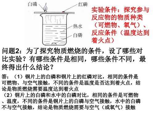 实验方案怎么写模板(实验设计方案怎么写模板)