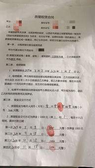 租房被坑了但合同签了怎么办(租房签合同被骗了怎么办)