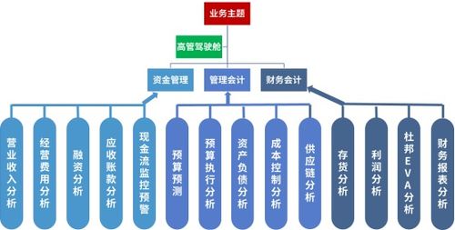 BI项目是什么，BI是什么,有能解答的吗