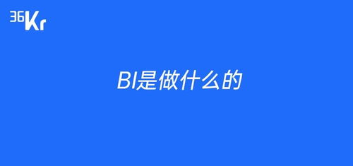 bi公司是干什么的，bi是做什么的