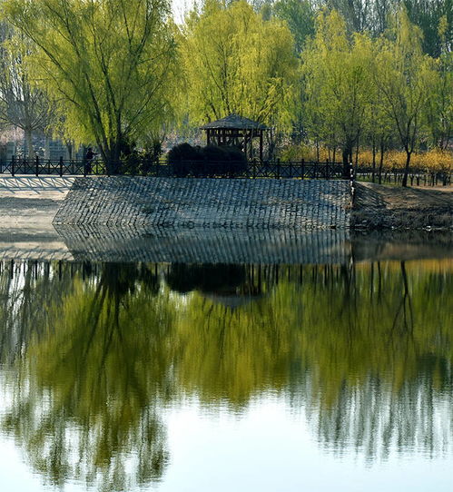 人工湿地有哪些，下列哪些是人工湿地