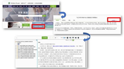 什么叫先行研究，什么是先行研究