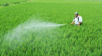农药减量五新技术是什么，有没有什么技术少用化肥农药和除草剂可以实现甘蔗增加产量