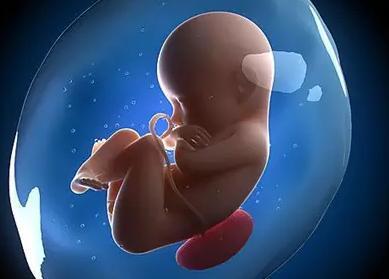 卵巢功能一般的人能用拮抗剂方案吗，试管婴儿促排卵最好的方案是哪个