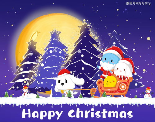 圣诞节的传统活动有哪些英语，圣诞节的风俗有哪些用英语来表达