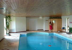 室内游泳池层高最低多少，怎样自建一个游泳池