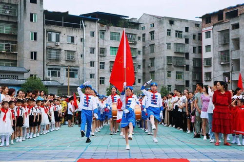 小学精彩的活动有什么活动，小学新颖的活动有哪些