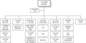 新公司如何搭建人力架构，以公司为单位,如何搭建人力资源体系