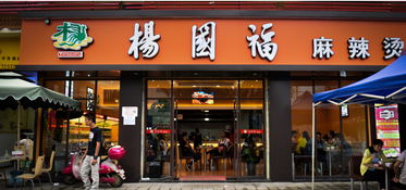 杨国福全国有多少家加盟店，杨国福麻辣烫的创始人