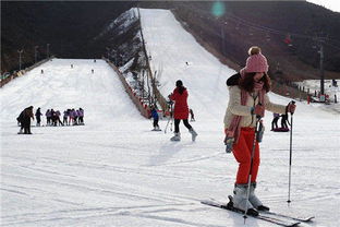 滑雪场设施有哪些，河北石家庄滑雪场内的设施有哪些