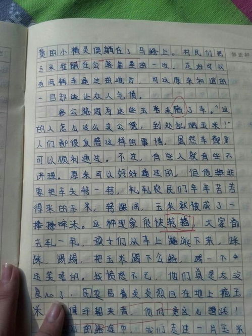 有趣的一件事500字作文优秀