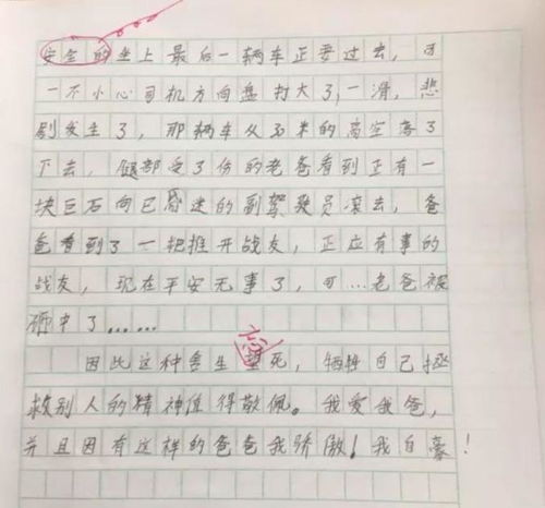 小学作文大全