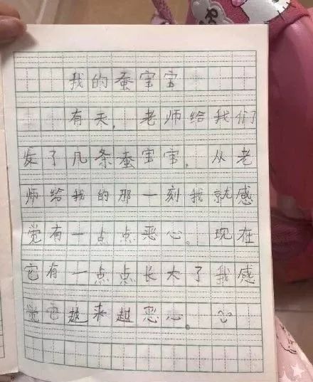 50字优秀作文