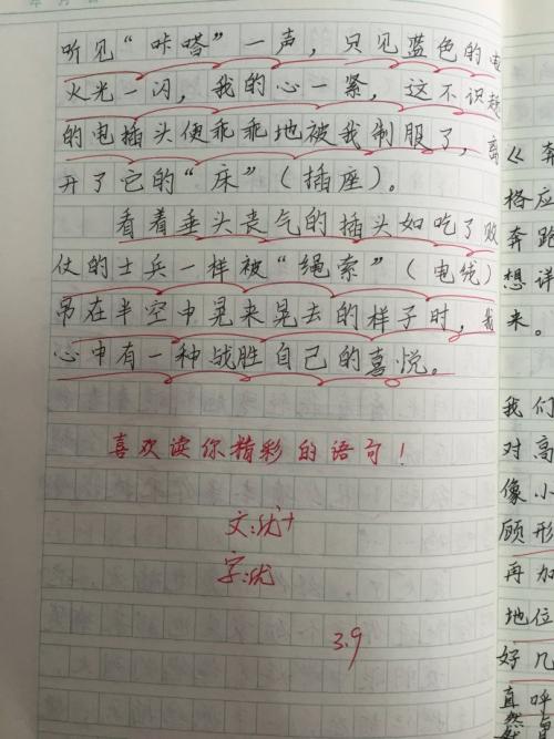 说明文的作文300字