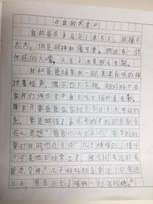 作文我的父亲600字左右