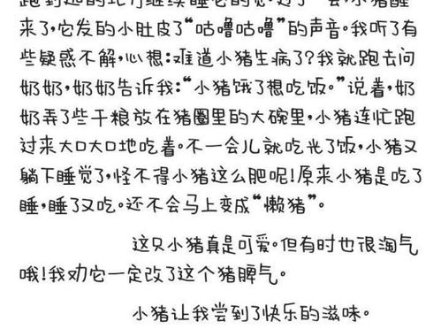 我尝到了母爱的滋味作文400字