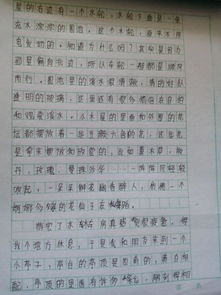 观察一种景物作文300字