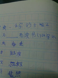 读书作文300字