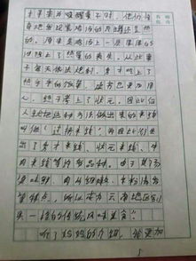 美食作文400字