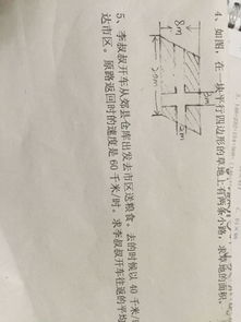 我家的什么作文300字