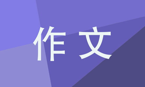 选择作文600字初三