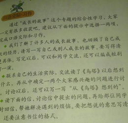 迷作文450字