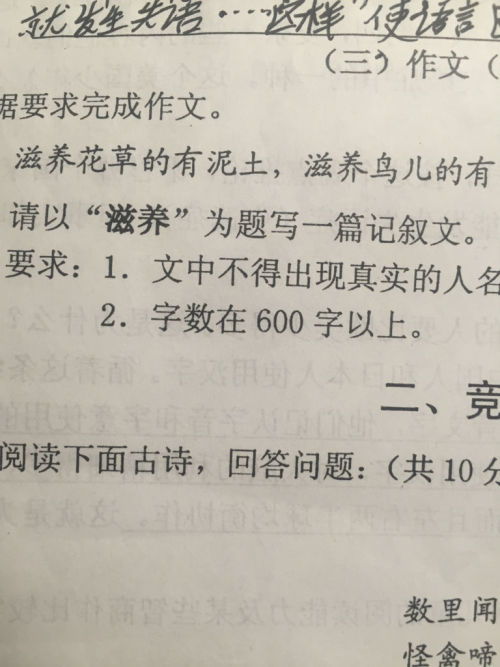 记叙作文600字初中优秀作文