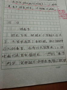 节日作文500字作文