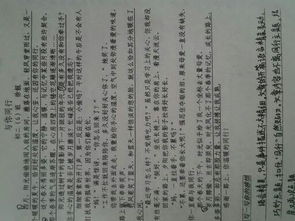 作文那一次我真感动600字