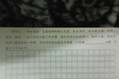 写一篇暖的作文450字