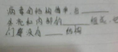 以距离为话题的作文600字