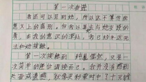 优秀叙事作文400字