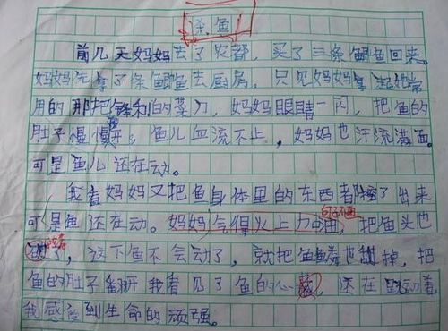 抄一篇优秀的作文300字